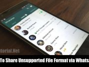 send any unsupported file via WhatsApp
