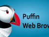 download Puffin Web Browser 6.1.3.15994 APK