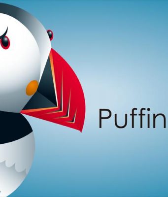 Download Puffin Web Browser for PC and MAC