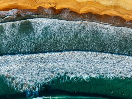 download Nokia 8 Stock Wallpapers