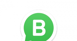 download WhatsApp Business 0.0.73 APK