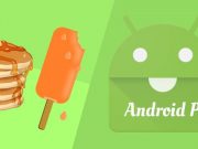 Some Good Name Choices for Android P