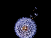 Download Galaxy S9 Stock Wallpapers in QHD (2560 x 2560) Resolution Galaxy S9 Stock Wallpapers