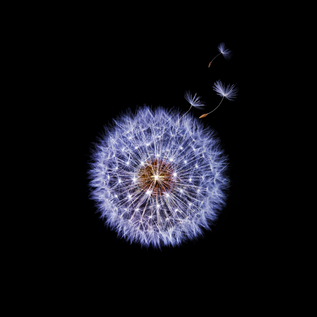 Galaxy S9 Stock Wallpapers