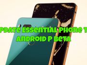 How to Download and Install Android P Beta on Essential Phone Install Android P Beta on Essential Phone