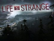 How to Fix Unfortunately, Life is Strange has stopped error on Android Life is Strange has Stopped Error on Android