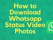 How to Download WhatsApp Status/Stories On Your Android Phone Download WhatsApp Status