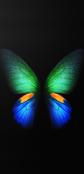 Download Official Samsung Galaxy Fold Wallpapers - Android Tutorial