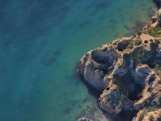 Download Official Android Q Wallpapers and Stock Ringtones