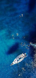 official Asus Zenfone 6 wallpapers